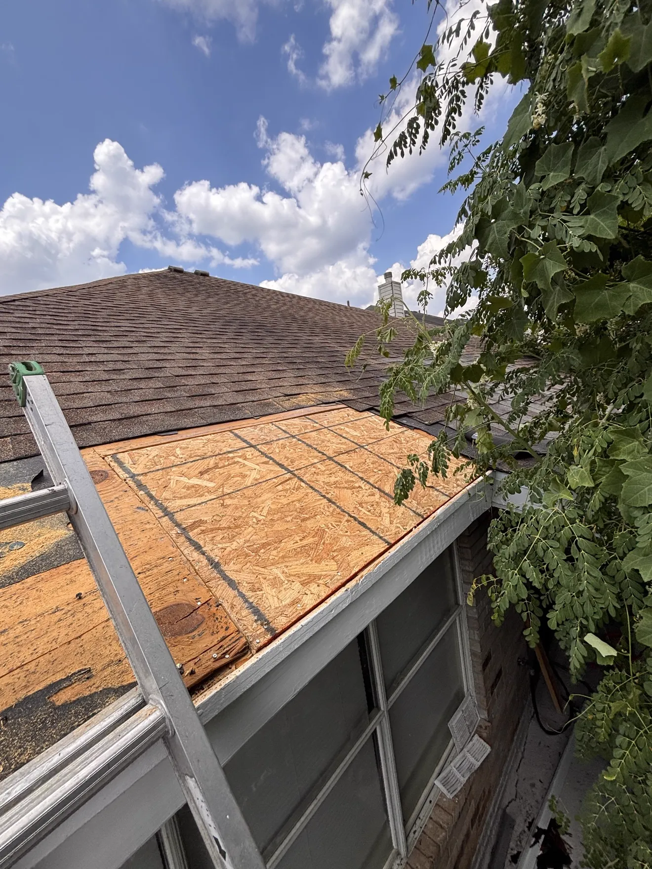 New OSB decking installed over a repaired roof section